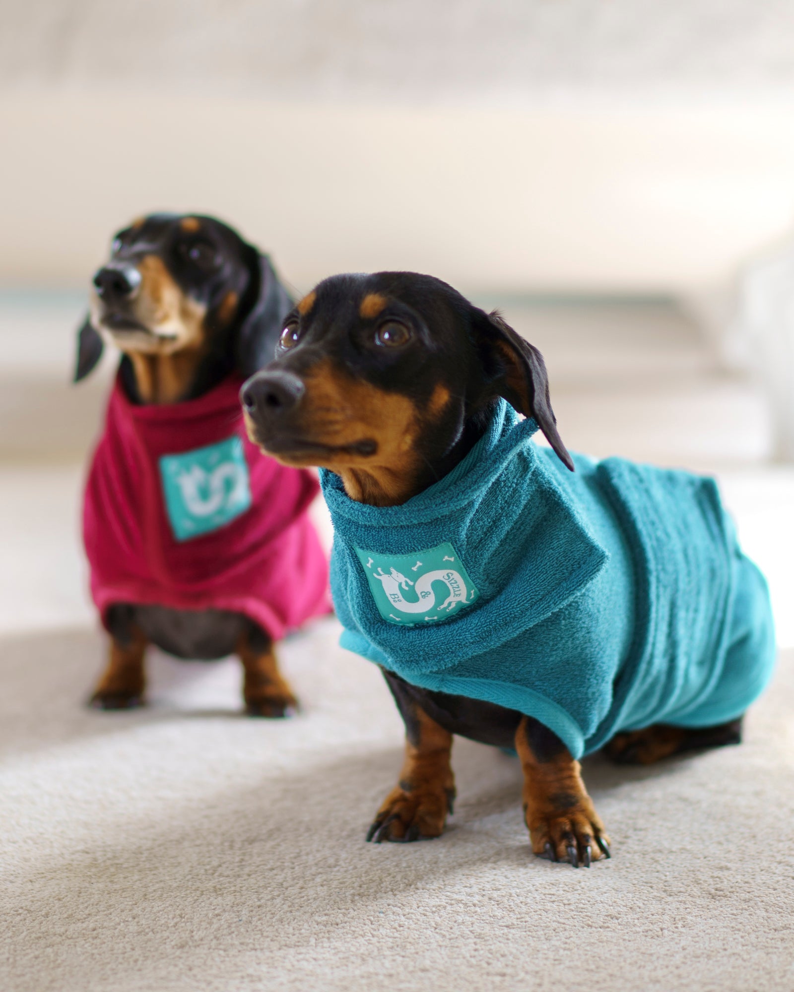 Zorela Dog Drying Coat Towel Robe, Super Absorbent Dog Bathrobe 400gsm  Microfibre Dog Towel Coat, Super Soft & Fast Drying Pet Dog Robe,  Adjustable Collar & Waist Dog Dressing Gown for Extra