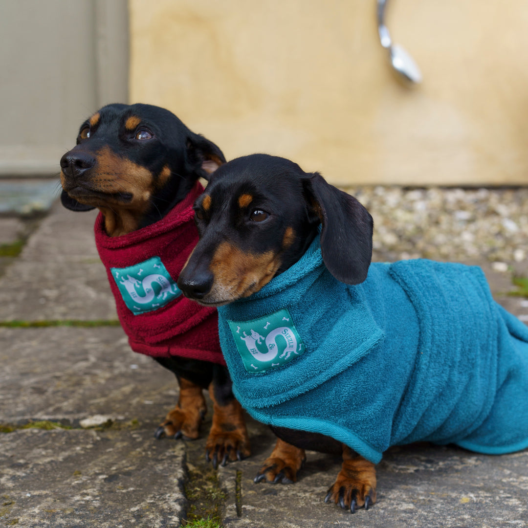 Dog Gown - Teal