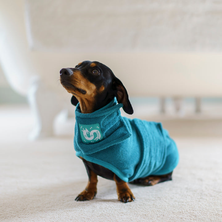 Dog Gown - Teal